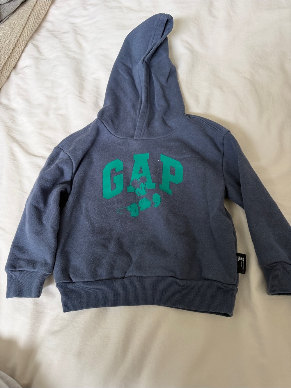 GAP Kids Slate Blue Hoodie with Teal Logo